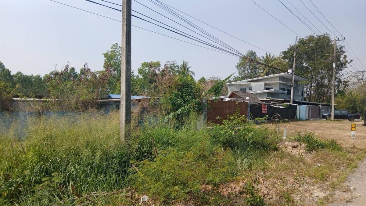 🔥ขายด่วน 🔥ที่ดินอ.พนัสนิคม ชลบุรี 48 ไร่ (ไร่ละ 2 ล้าน)