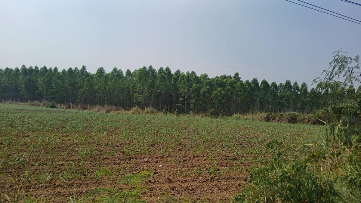 🔥ขายด่วน 🔥ที่ดินอ.พนัสนิคม ชลบุรี 48 ไร่ (ไร่ละ 2 ล้าน)