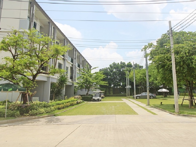 เดอะ-แพลนท์-ซิตี้-แจ้งวัฒนะ