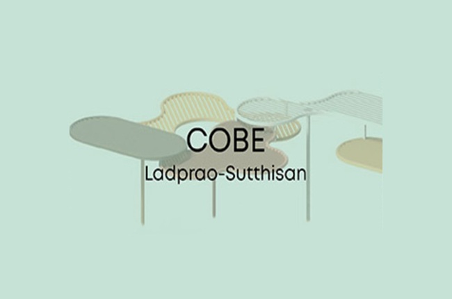 banner-project-details